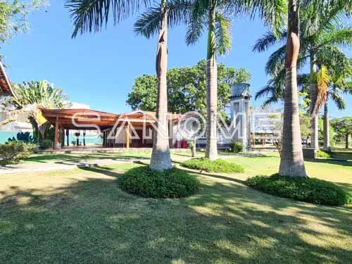 Imagem 3